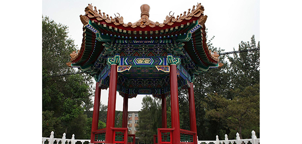 對外經(jīng)濟貿(mào)易大學 - 最美大學
