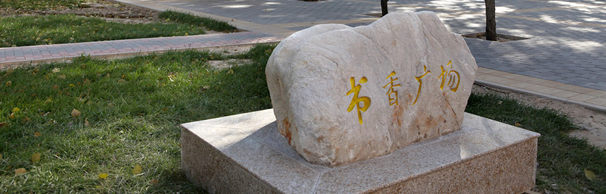對外經(jīng)濟貿(mào)易大學(xué) 早安青春