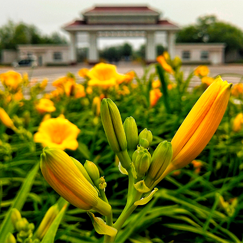 中國消防救援學(xué)院-早安青春