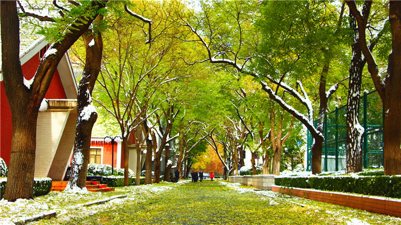 中國人民公安大學(xué)-校園風(fēng)景