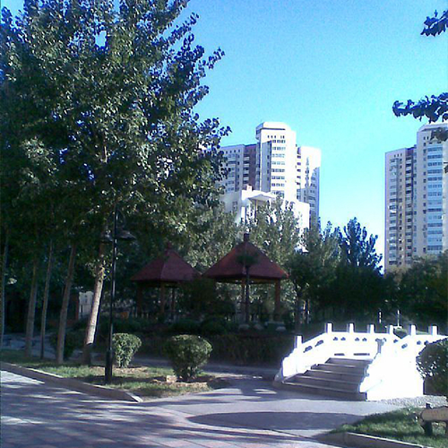 大學(xué)志