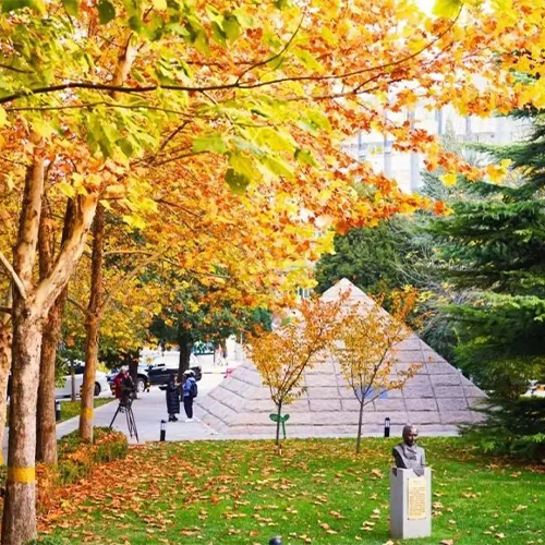 大學簡介