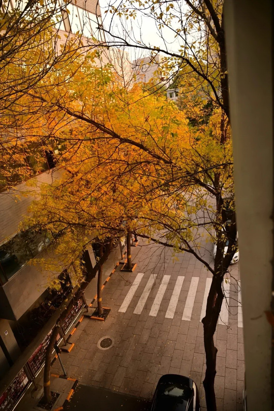 北京電影學院-校園風景