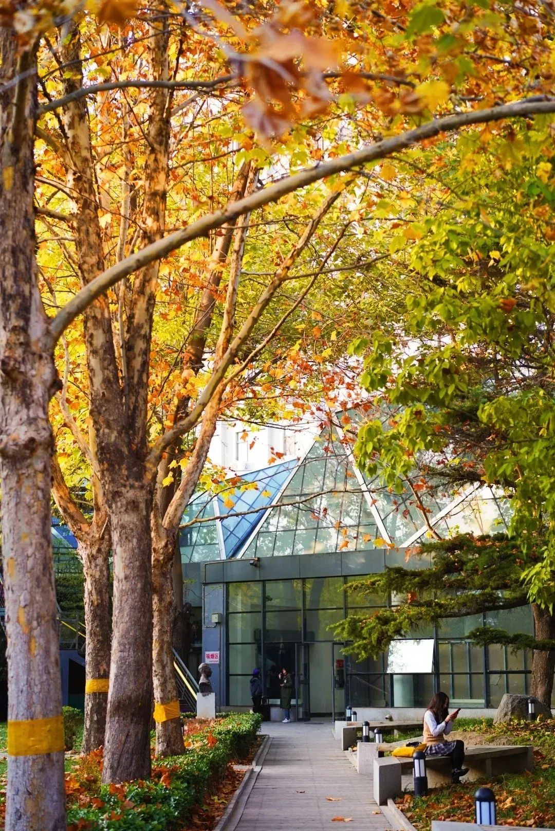 北京電影學院-校園風景