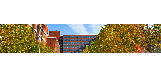 中國(guó)礦業(yè)大學(xué)（北京） - 最美大學(xué)