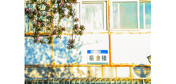 北京聯(lián)合大學 - 最美大學