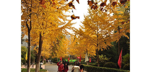 中國勞動關(guān)系學院 - 最美大學