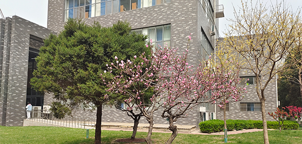 中國勞動關(guān)系學院 - 最美大學