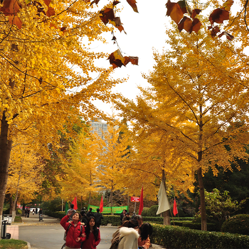 中國勞動關(guān)系學(xué)院-大學(xué)文化