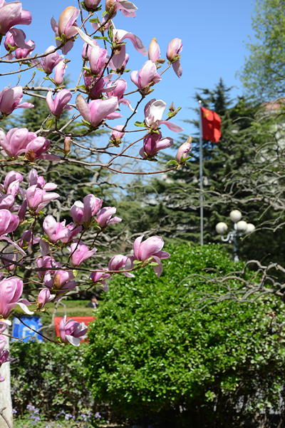 中國勞動關(guān)系學院