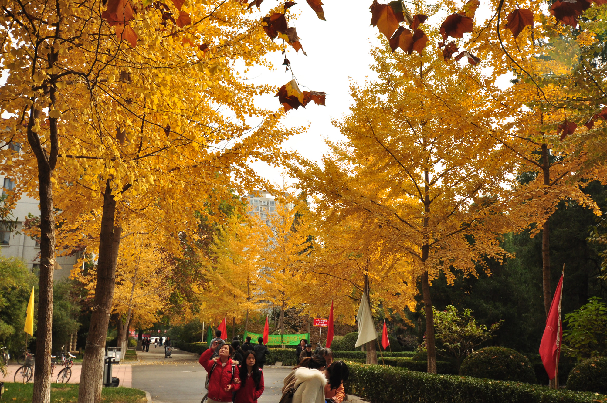中國(guó)勞動(dòng)關(guān)系學(xué)院-校園風(fēng)景