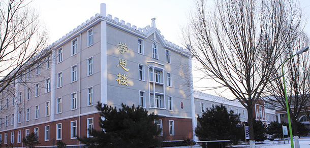 我的大學-大學志