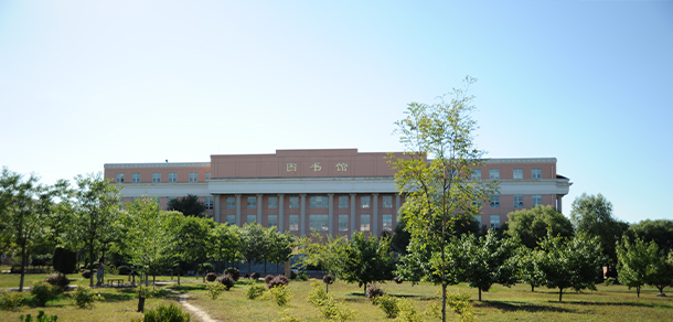 我的大學-大學志
