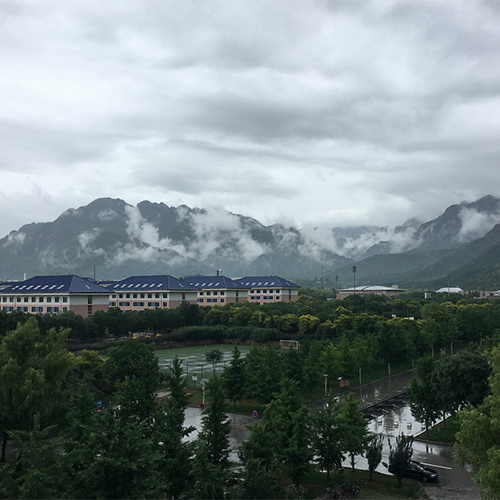 我的大學(xué)