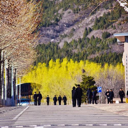 北京警察學(xué)院-流金歲月