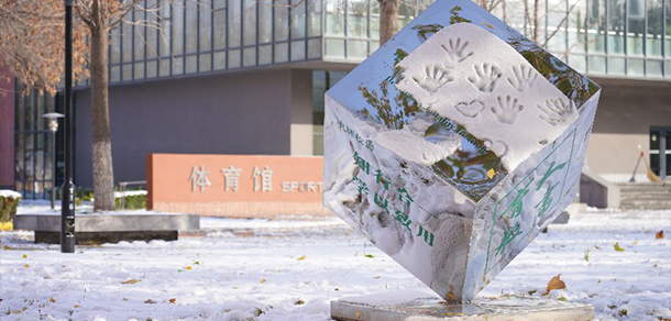 我的大學(xué)-大學(xué)志