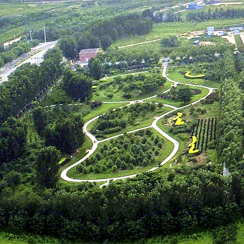 中國社會科學(xué)院大學(xué)-早安青春