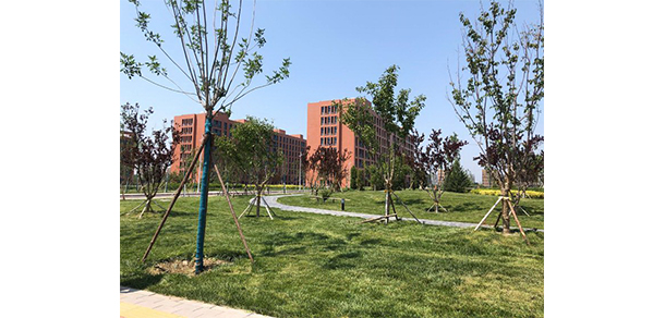 民政職業(yè)大學 - 最美大學