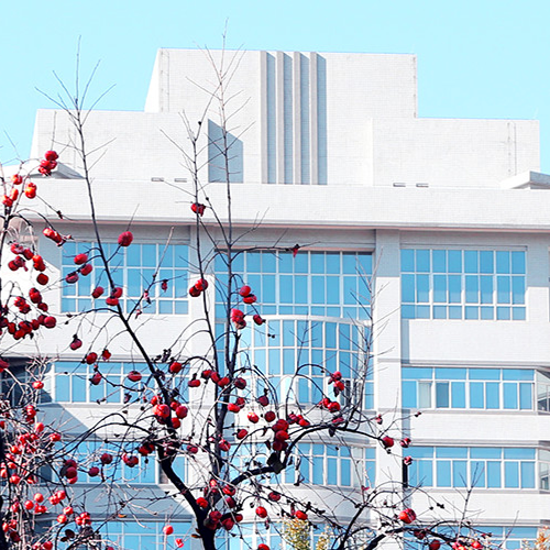 北京理工大學 - 白駒過隙，只此青綠