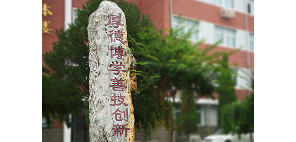 我的大學(xué)-大學(xué)志