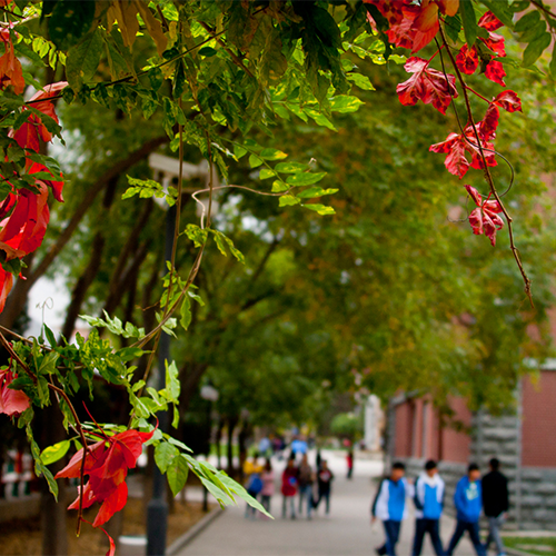 我的大學(xué)