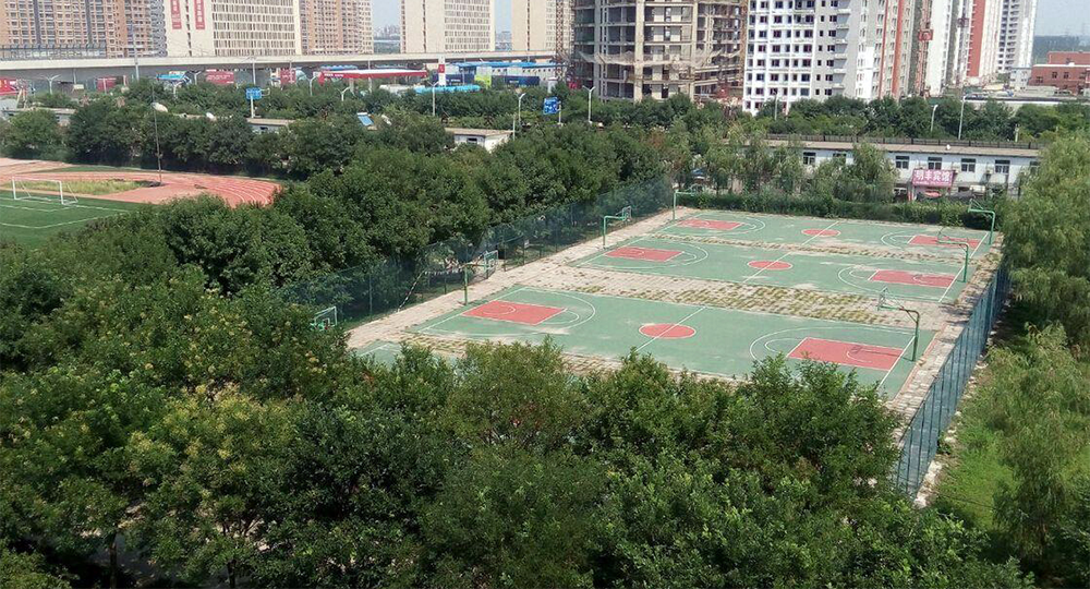 我的大學(xué) - 我的萬(wàn)水千山