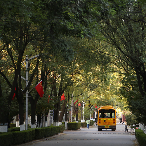 我的大學(xué)