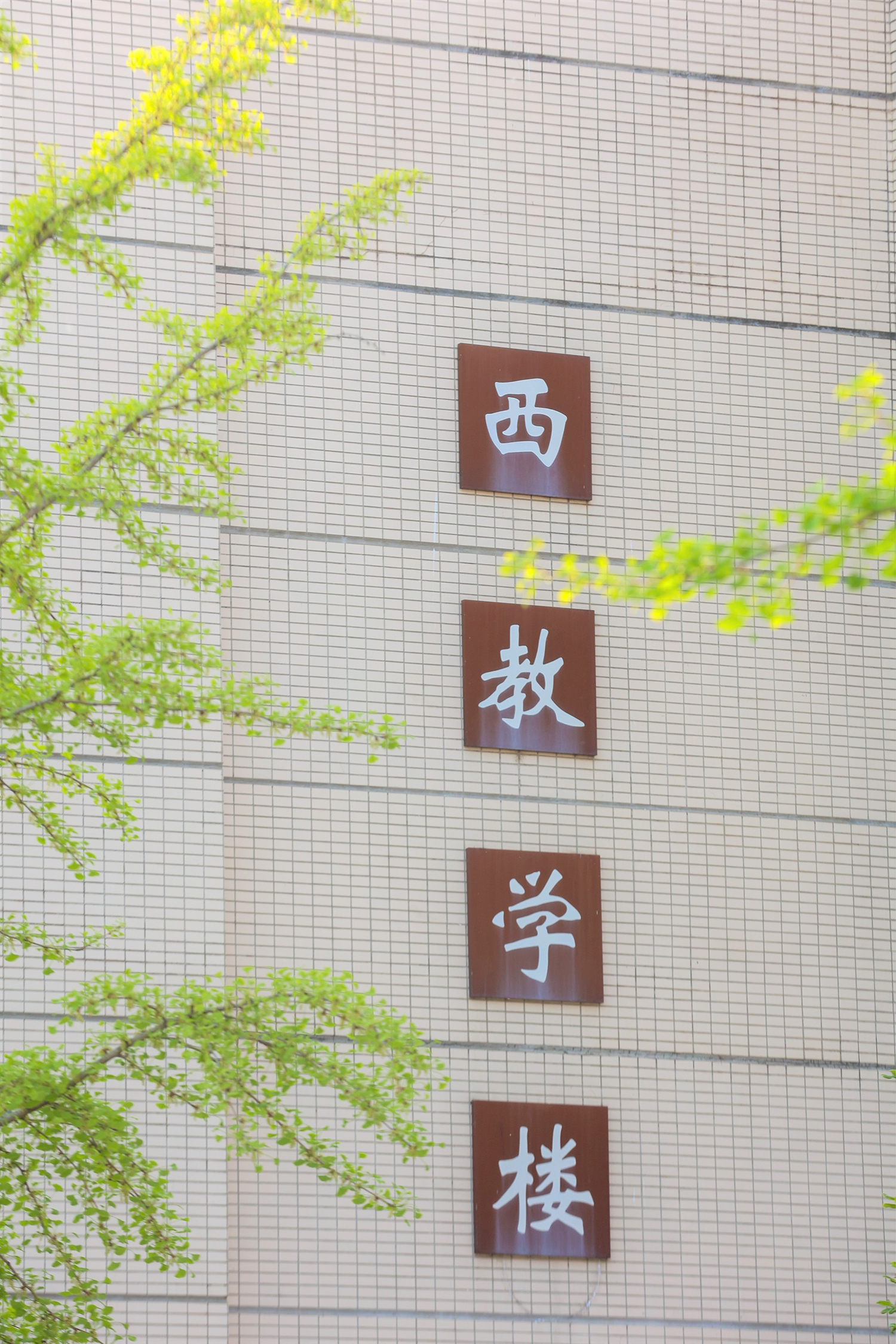 北京勞動(dòng)保障職業(yè)學(xué)院-校園風(fēng)景