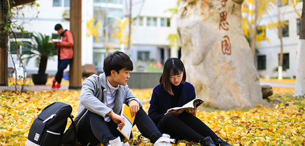 我的大學(xué)-大學(xué)志