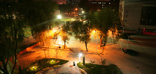 我的大學(xué)-大學(xué)志