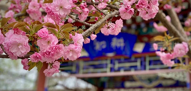 北京體育職業(yè)學(xué)院 - 最美院校