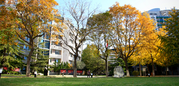 我的大學(xué)-大學(xué)志