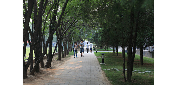 我的大學(xué)-大學(xué)志