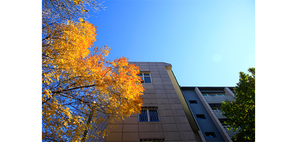 我的大學(xué)-大學(xué)志