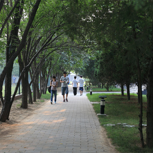 北京青年政治學(xué)院-最美校園