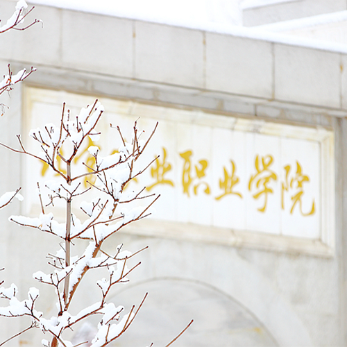 大學(xué)志