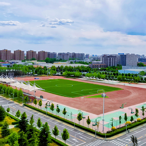 我的大學(xué)