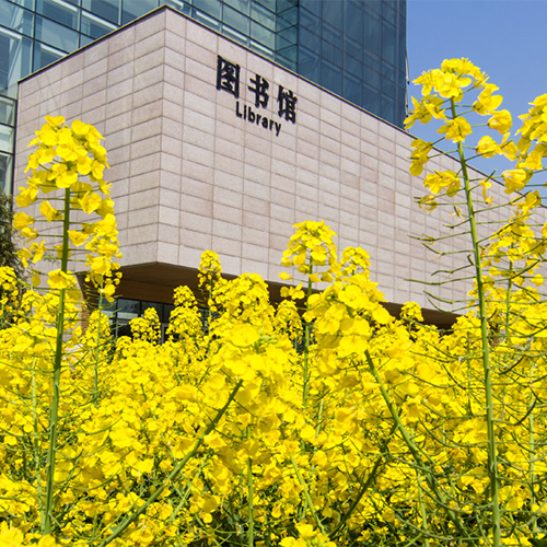 大學簡介