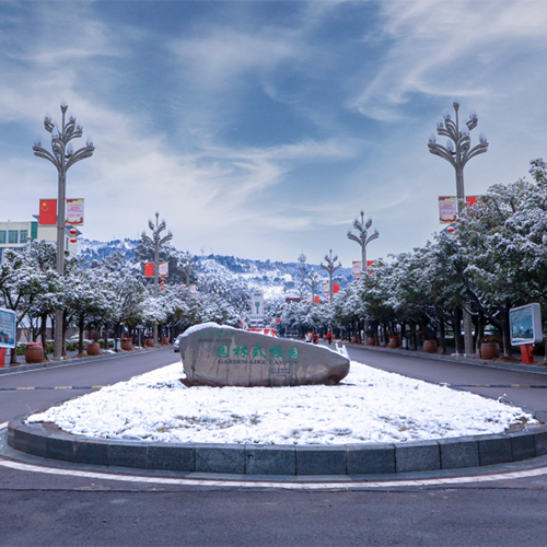 大學(xué)簡(jiǎn)介