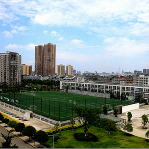 成都中醫(yī)藥大學(xué)-最美校園