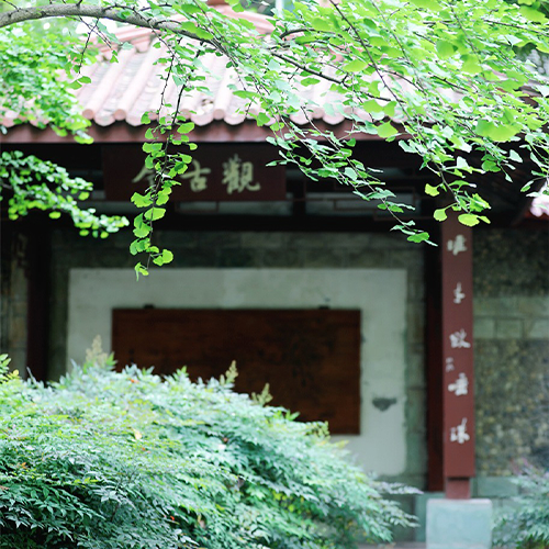 最美校園