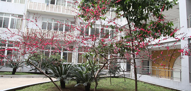我的大學(xué)-大學(xué)志