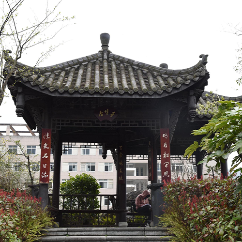 大學(xué)志