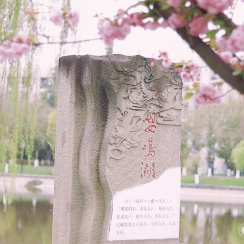 成都大學(xué)-最美校園