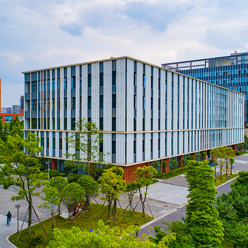 我的大學