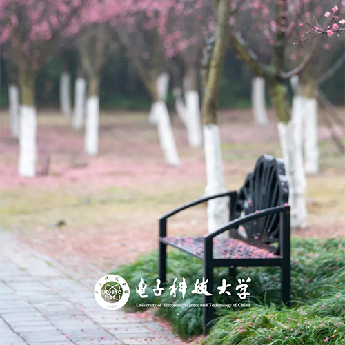 大學(xué)志
