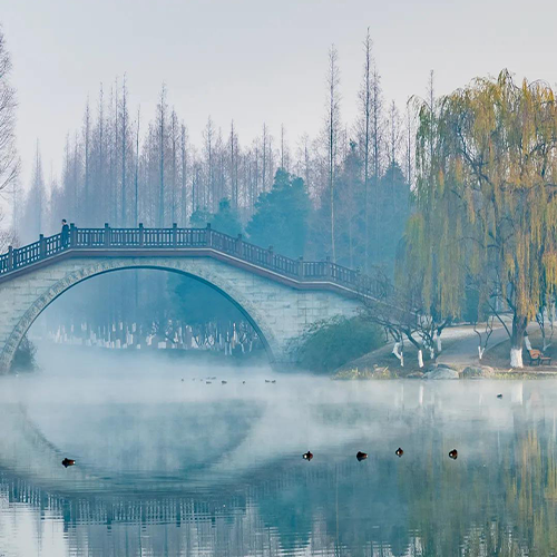 我的大學(xué)