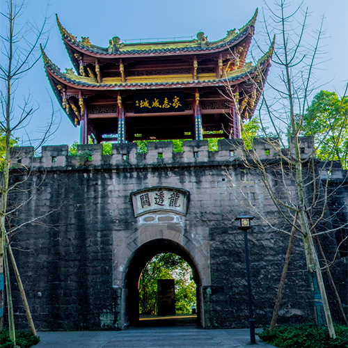 大學簡介
