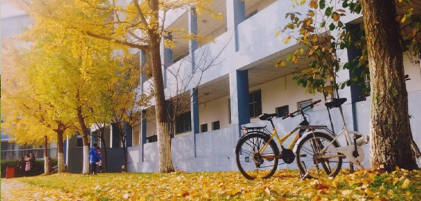 電子科技大學(xué)成都學(xué)院