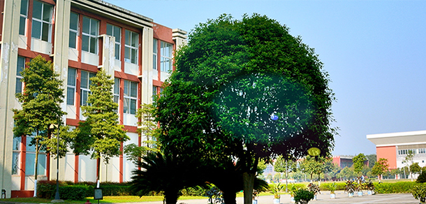 電子科技大學(xué)成都學(xué)院